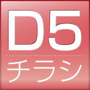 D5チラシ価格表
