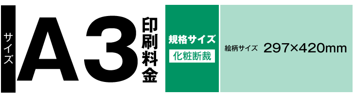 A3サイズ印刷内容